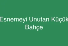 Esnemeyi Unutan Küçük Bahçe