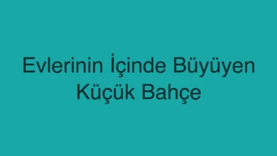 Evlerinin İçinde Büyüyen Küçük Bahçe