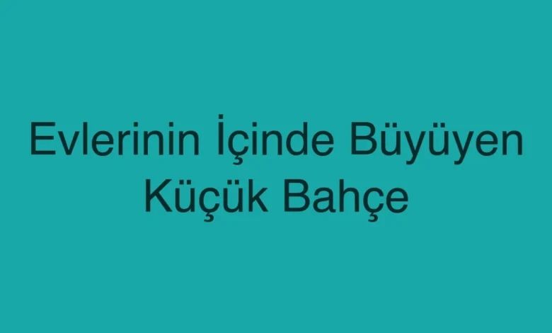 Evlerinin İçinde Büyüyen Küçük Bahçe