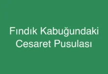 Fındık Kabuğundaki Cesaret Pusulası