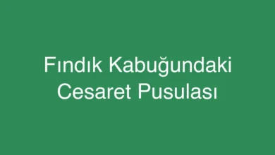 Fındık Kabuğundaki Cesaret Pusulası