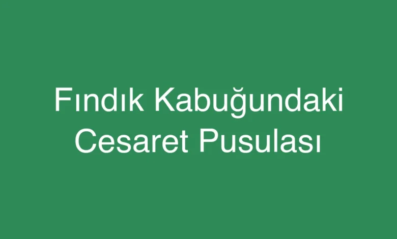 Fındık Kabuğundaki Cesaret Pusulası