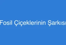Fosil Çiçeklerinin Şarkısı