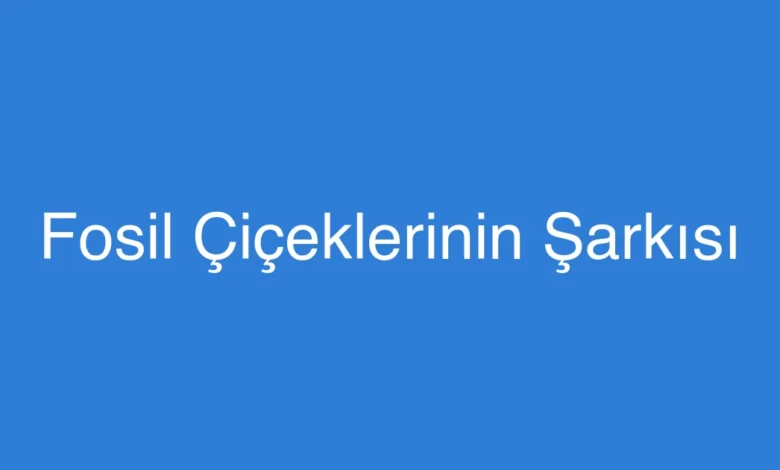 Fosil Çiçeklerinin Şarkısı