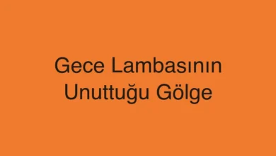 Gece Lambasının Unuttuğu Gölge