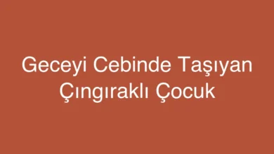 Geceyi Cebinde Taşıyan Çıngıraklı Çocuk