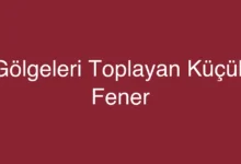Gölgeleri Toplayan Küçük Fener