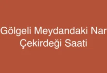 Gölgeli Meydandaki Nar Çekirdeği Saati