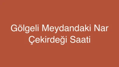 Gölgeli Meydandaki Nar Çekirdeği Saati