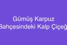 Gümüş Karpuz Bahçesindeki Kalp Çiçeği
