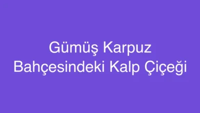 Gümüş Karpuz Bahçesindeki Kalp Çiçeği