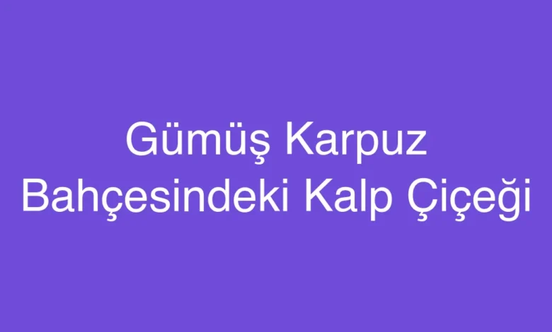 Gümüş Karpuz Bahçesindeki Kalp Çiçeği