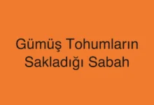 Gümüş Tohumların Sakladığı Sabah