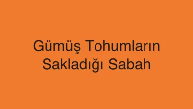 Gümüş Tohumların Sakladığı Sabah