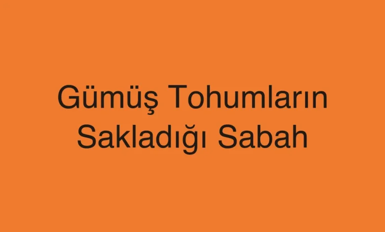 Gümüş Tohumların Sakladığı Sabah