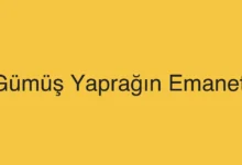 Gümüş Yaprağın Emaneti
