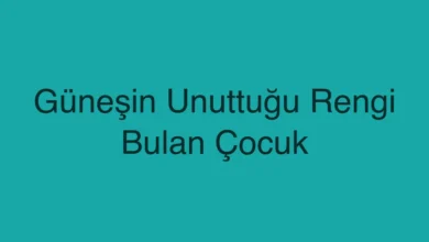 Güneşin Unuttuğu Rengi Bulan Çocuk