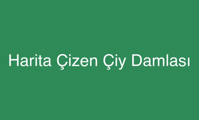 Harita Çizen Çiy Damlası