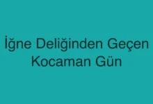 İğne Deliğinden Geçen Kocaman Gün