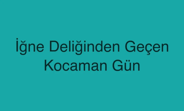 İğne Deliğinden Geçen Kocaman Gün