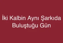 İki Kalbin Aynı Şarkıda Buluştuğu Gün