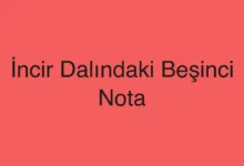 İncir Dalındaki Beşinci Nota