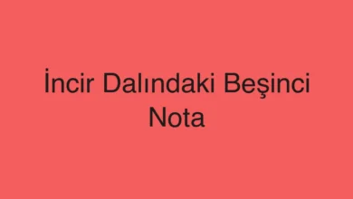 İncir Dalındaki Beşinci Nota