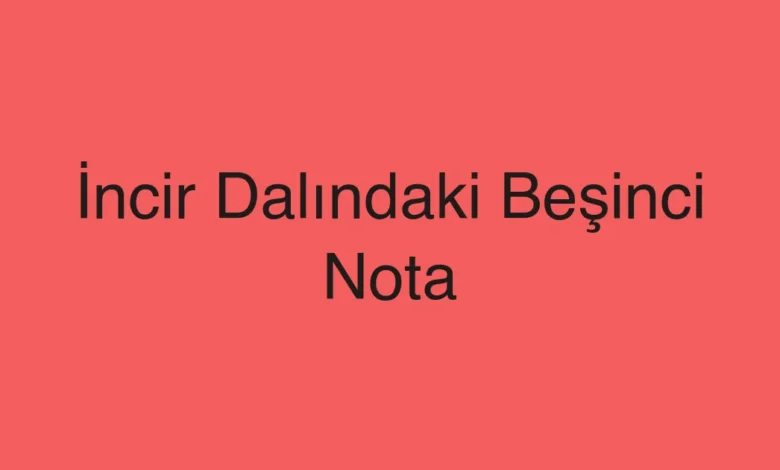 İncir Dalındaki Beşinci Nota