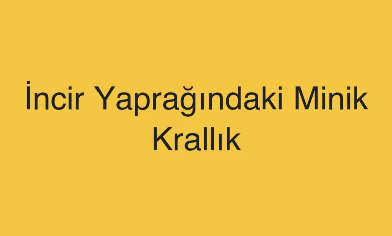 İncir Yaprağındaki Minik Krallık