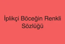 İplikçi Böceğin Renkli Sözlüğü