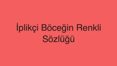 İplikçi Böceğin Renkli Sözlüğü