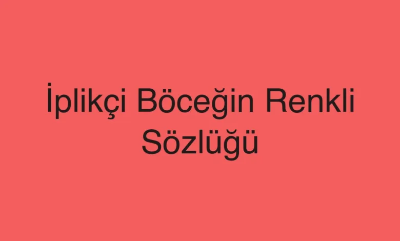 İplikçi Böceğin Renkli Sözlüğü