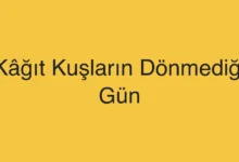 Kâğıt Kuşların Dönmediği Gün