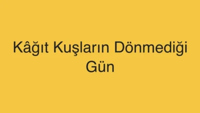 Kâğıt Kuşların Dönmediği Gün