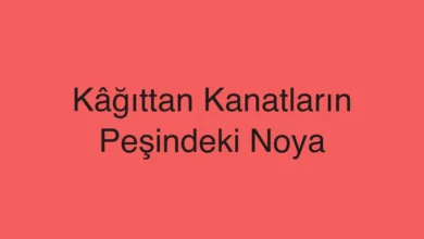 Kâğıttan Kanatların Peşindeki Noya