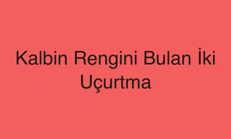 Kalbin Rengini Bulan İki Uçurtma