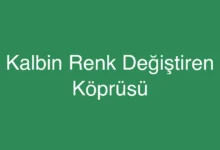 Kalbin Renk Değiştiren Köprüsü