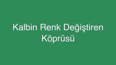 Kalbin Renk Değiştiren Köprüsü