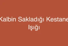 Kalbin Sakladığı Kestane Işığı