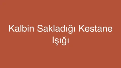 Kalbin Sakladığı Kestane Işığı
