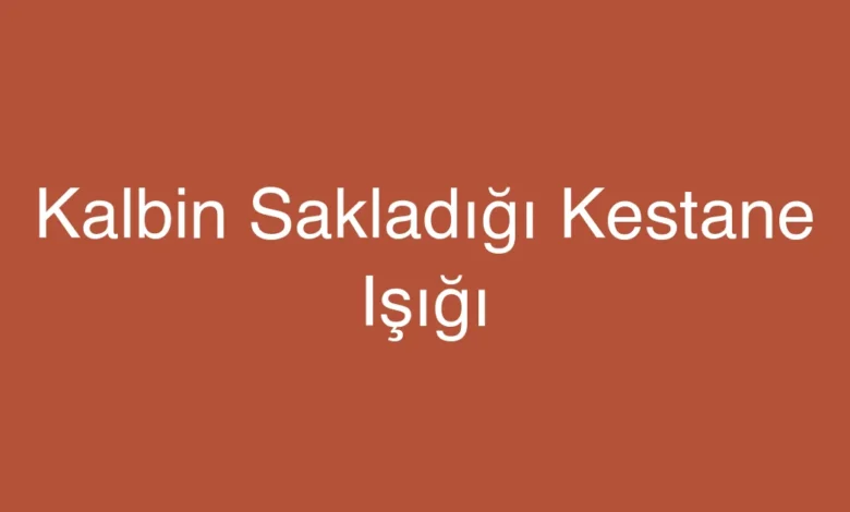 Kalbin Sakladığı Kestane Işığı