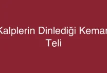 Kalplerin Dinlediği Keman Teli