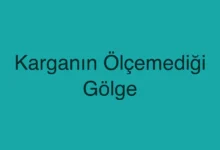 Karganın Ölçemediği Gölge