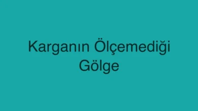 Karganın Ölçemediği Gölge