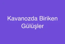 Kavanozda Biriken Gülüşler
