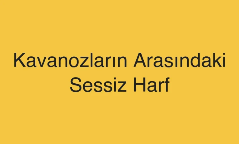 Kavanozların Arasındaki Sessiz Harf