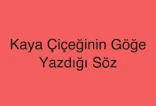 Kaya Çiçeğinin Göğe Yazdığı Söz