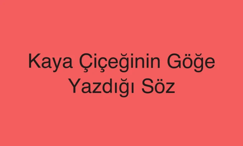 Kaya Çiçeğinin Göğe Yazdığı Söz