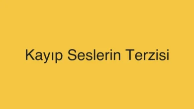 Kayıp Seslerin Terzisi