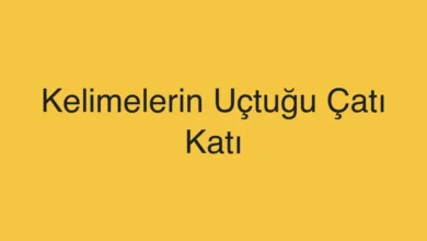 Kelimelerin Uçtuğu Çatı Katı